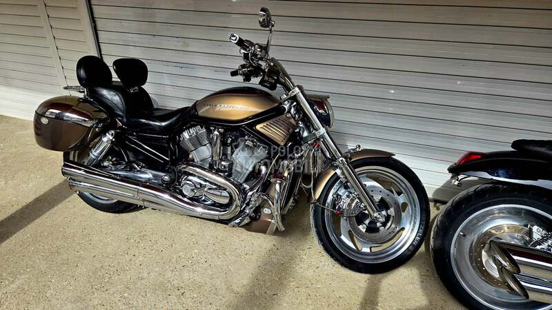 Harley Davidson V ROD VRSCA
