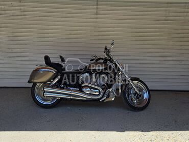 Harley Davidson V ROD VRSCA