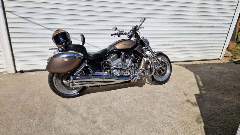 Harley Davidson V ROD VRSCA