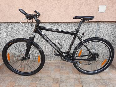 Bergamont mtb 26