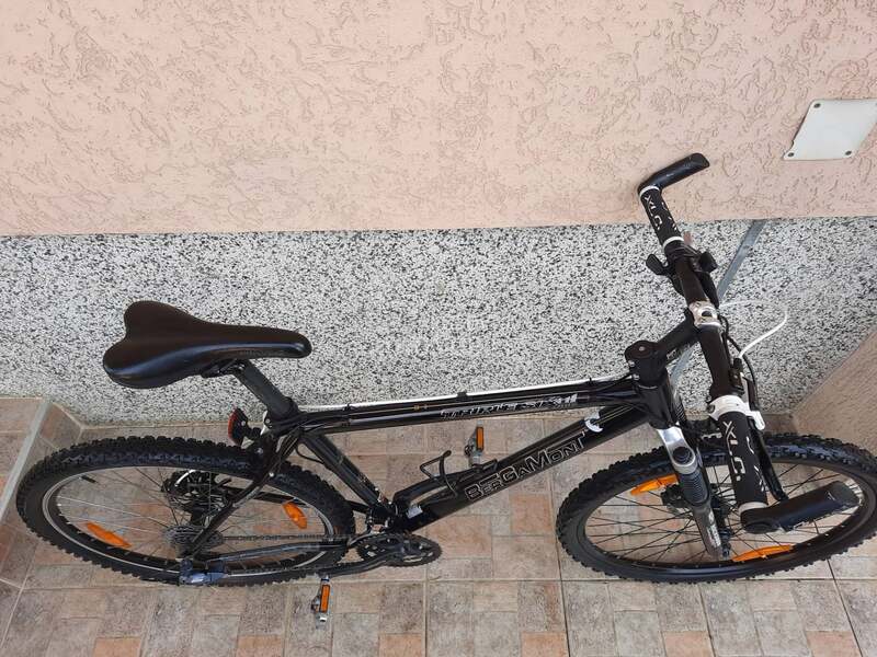 Bergamont mtb 26