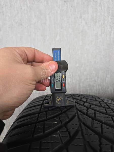 Goodyear 235/55 R19 Sve sezone