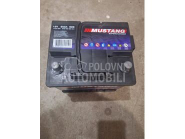 Akumulator 50 Ah Mustang  