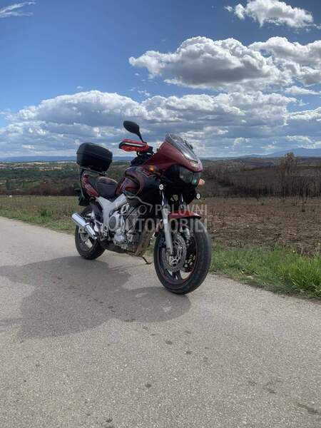 Yamaha crossover TDM