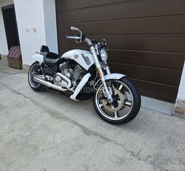 Harley Davidson V ROD MUSCLE