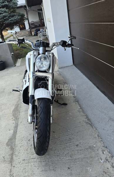 Harley Davidson V ROD MUSCLE