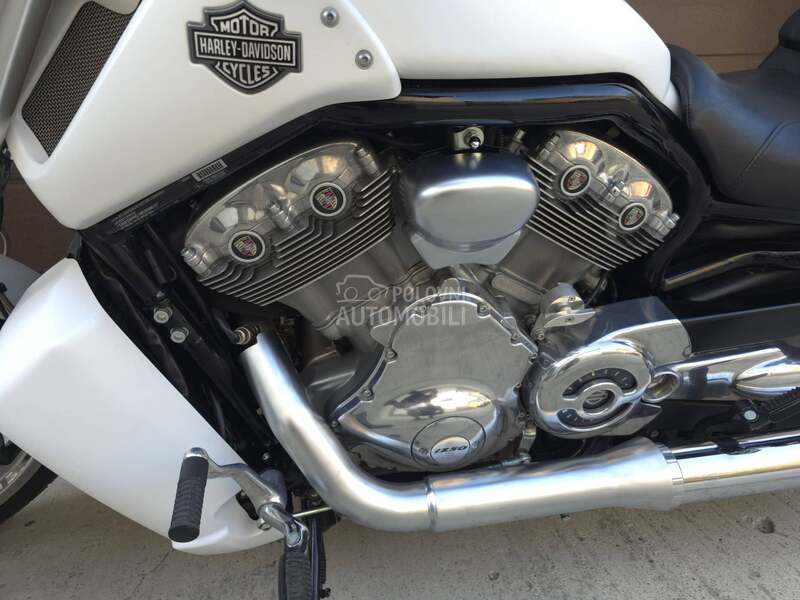Harley Davidson V ROD MUSCLE