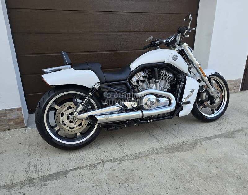 Harley Davidson V ROD MUSCLE