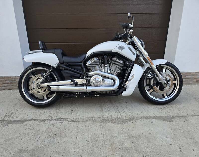 Harley Davidson V ROD MUSCLE