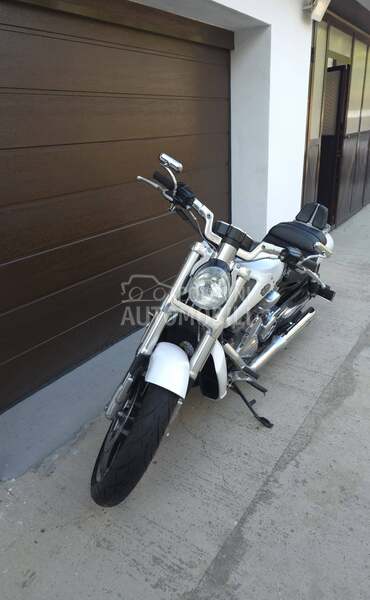 Harley Davidson V ROD MUSCLE