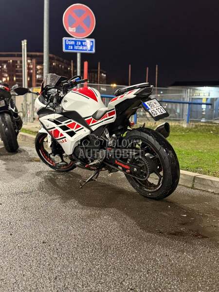 Kawasaki Ninja 300