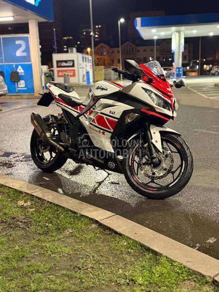 Kawasaki Ninja 300