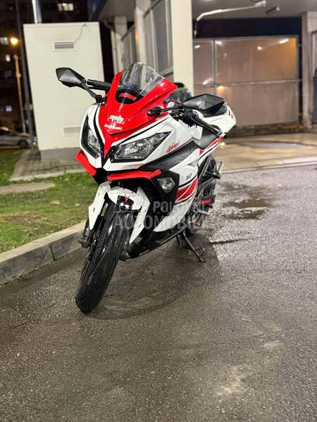 Kawasaki Ninja 300