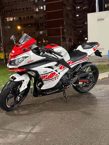 Kawasaki Ninja 300