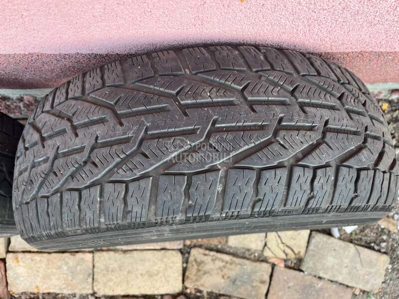 Riken 205/55 R16 Zimska