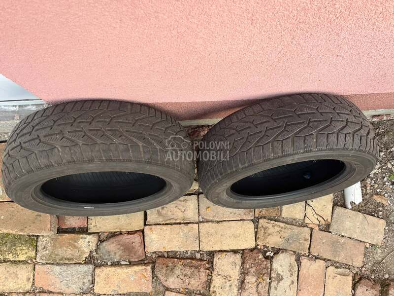 Riken 205/55 R16 Zimska