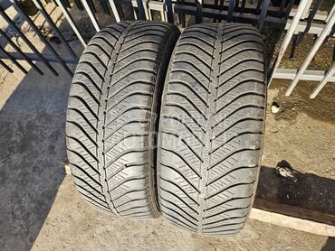 Goodyear 205/55 R16 Sve sezone