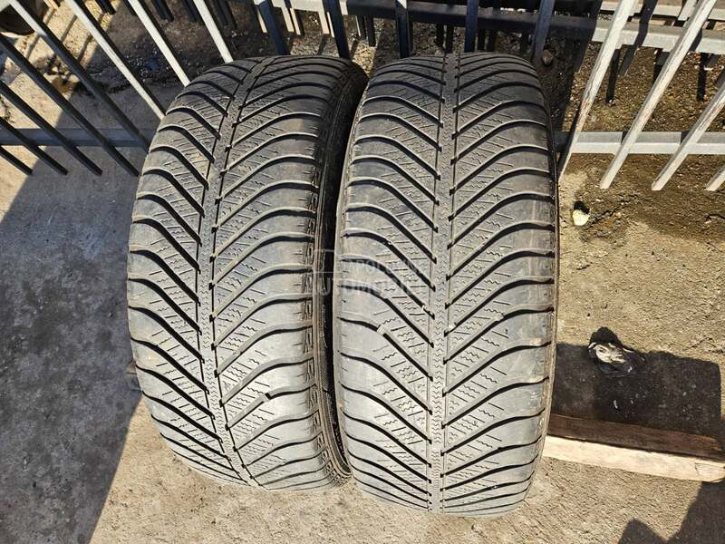 Goodyear 205/55 R16 Sve sezone