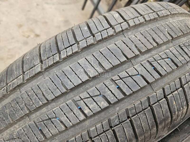 Dunlop 195/65 R15 Sve sezone
