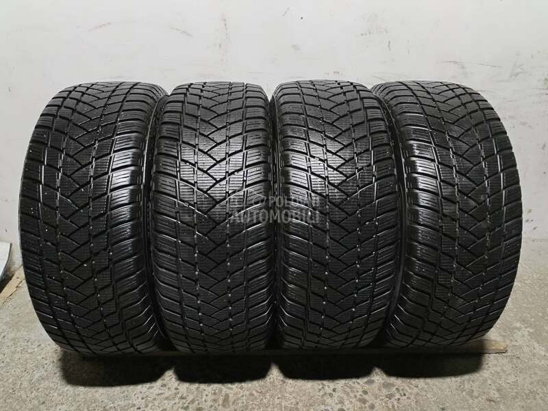 GT Radial 225/55 R16 Zimska