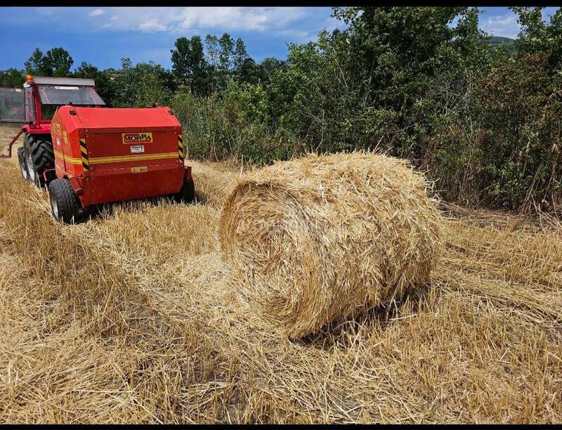 Gallignani Morra 120x120