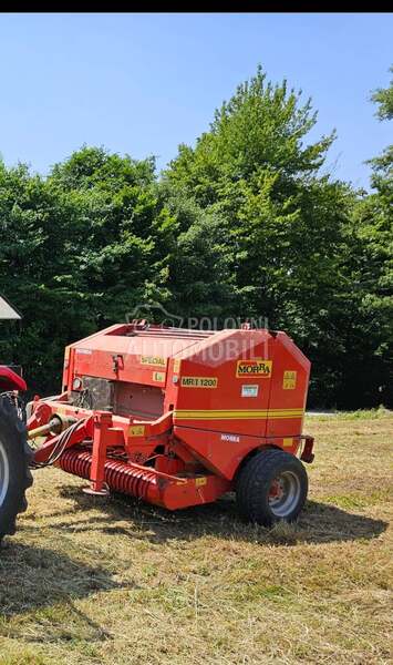 Gallignani Morra 120x120