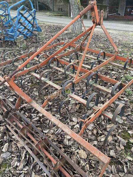 Agrina belocrkvanski