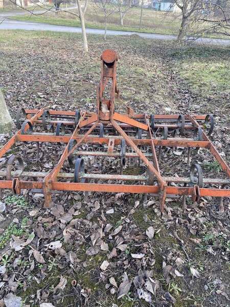 Agrina belocrkvanski