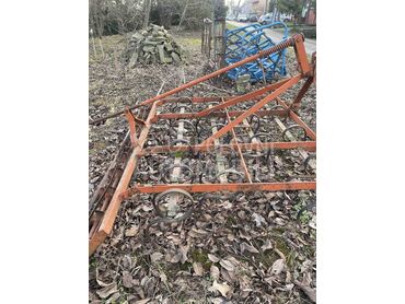 Agrina belocrkvanski