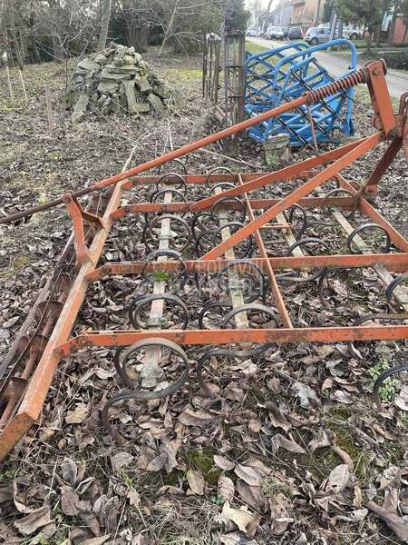 Agrina belocrkvanski