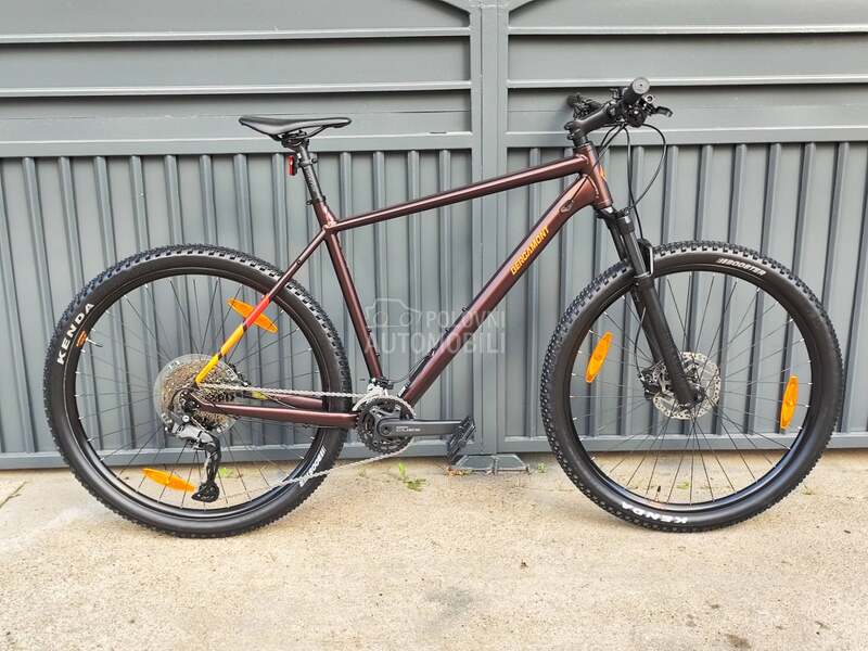 Bergamont Revox 29 XXL