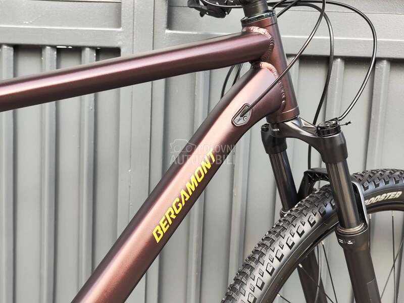 Bergamont Revox 29 XXL