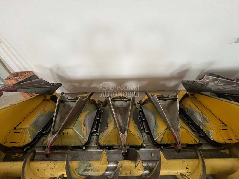 Capello ,Dominonni,Idass,Grecav