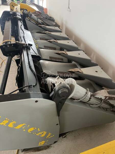 Capello ,Dominonni,Idass,Grecav