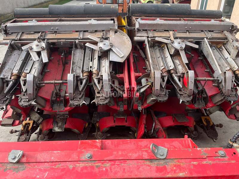 Capello ,Dominonni,Idass,Grecav