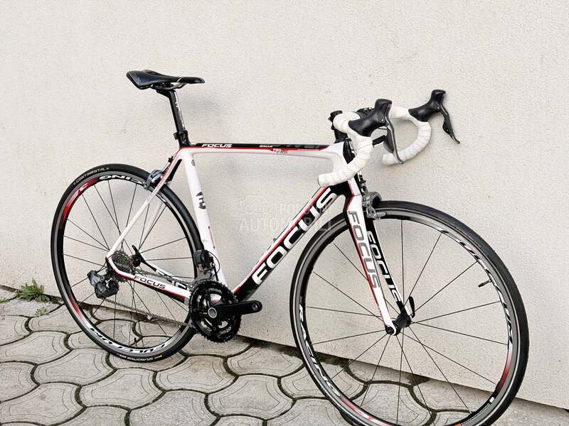 Focus Izalco 28