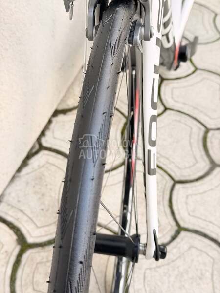 Focus Izalco 28