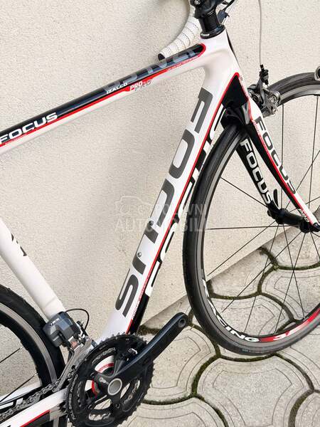 Focus Izalco 28