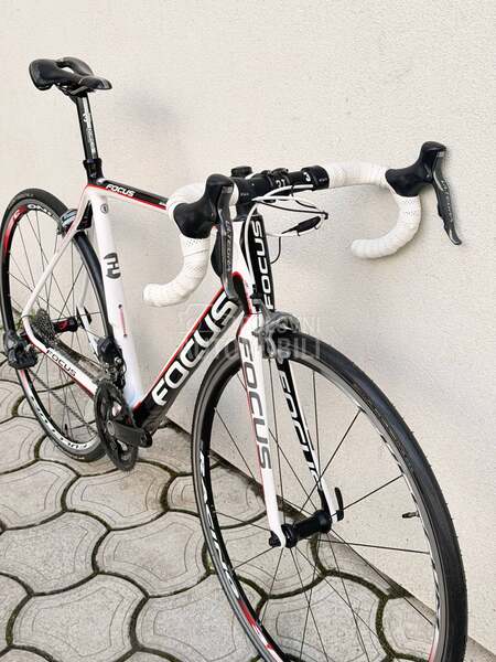 Focus Izalco 28