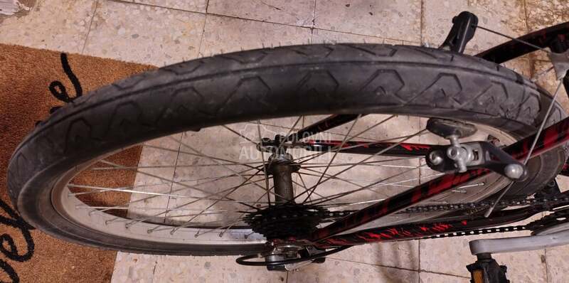 Capriolo MTB/gradski bicikl