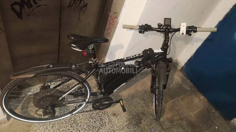 Capriolo Oxygen 2020