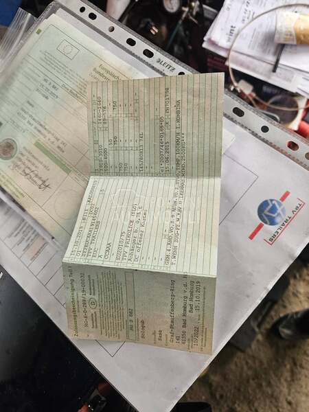 Stema autotransporter