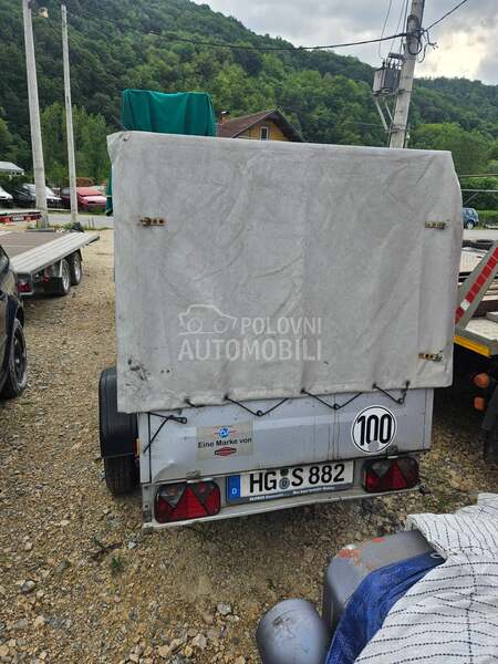 Stema autotransporter