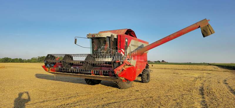 Massey Ferguson 7256 Cerea