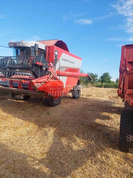 Massey Ferguson 7256 Cerea