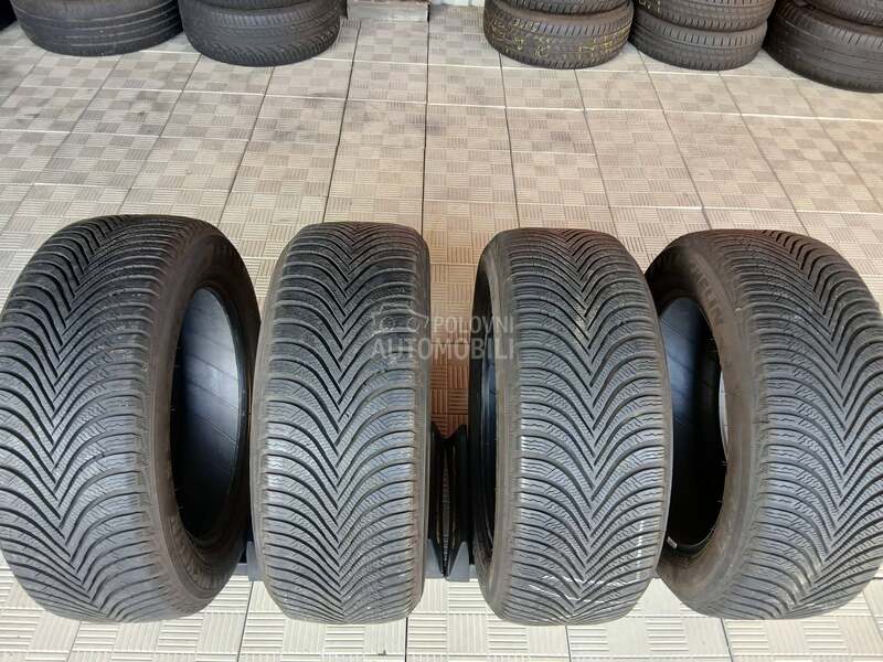Michelin 225/55 R17 Zimska