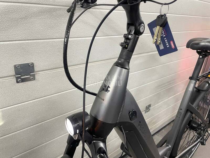 Pegasus Premio evo smart 750wh L