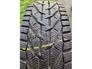 Riken 205/60 R16 Zimska