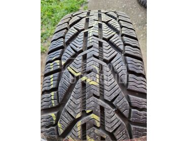 Taurus 195/55 R16 Zimska