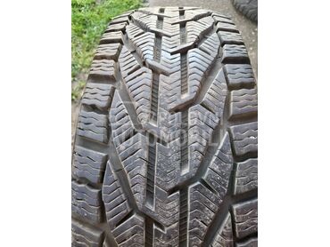 Riken 205/60 R16 Zimska